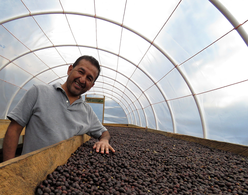Bright Spark (Honduras)