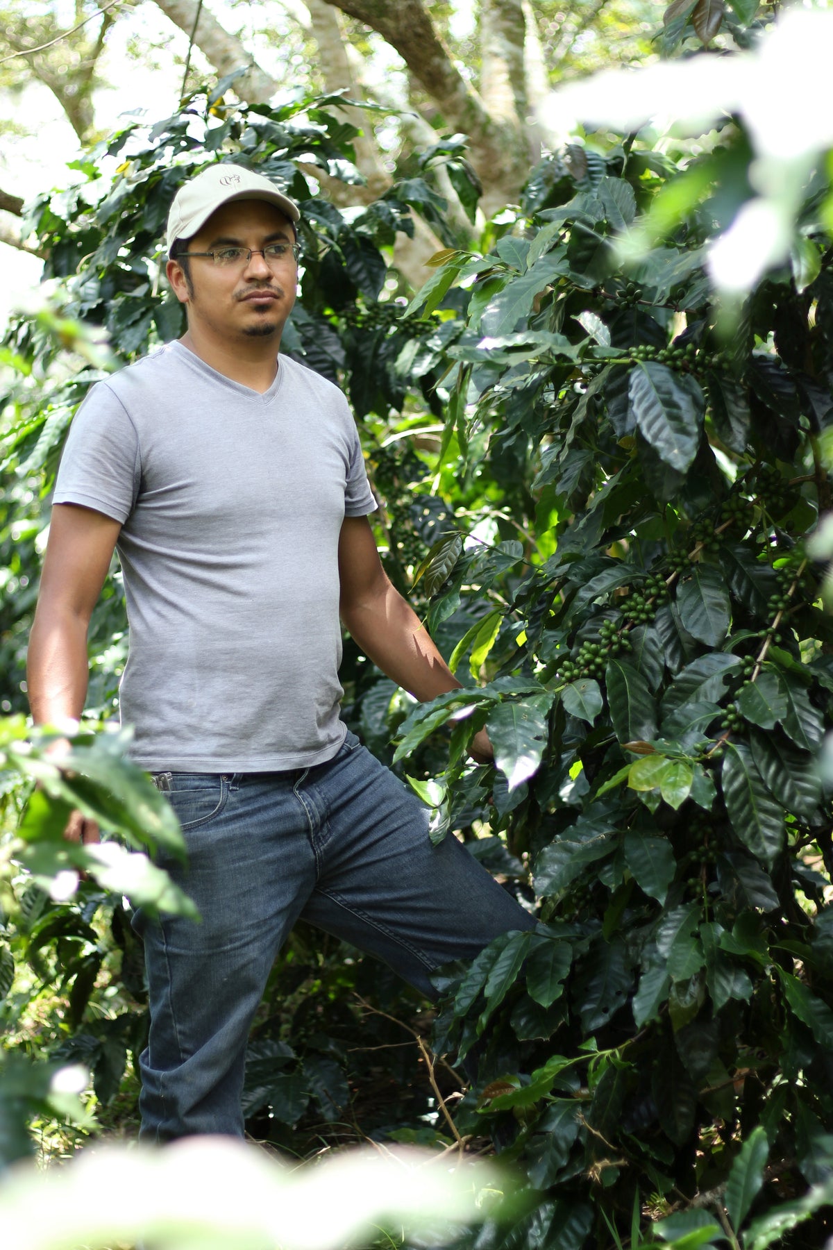 Bright Spark (Honduras)
